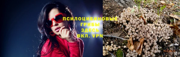 соль ск Арсеньев