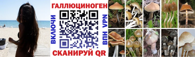 Галлюциногенные грибы MAGIC MUSHROOMS  сайты даркнета наркотические препараты  Ревда  ОМГ ОМГ зеркало 